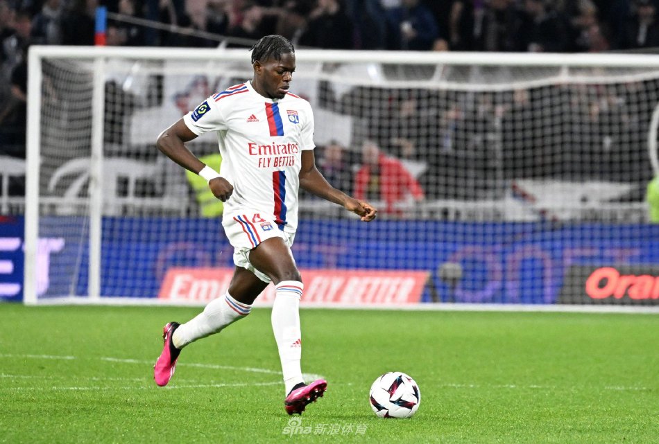 动世界中 动世界中